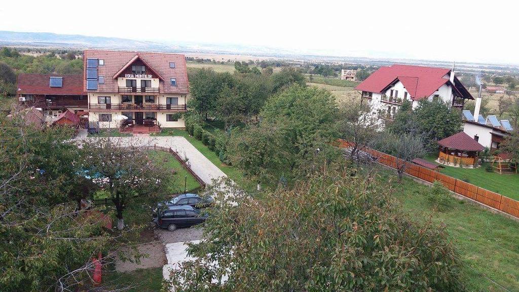 Pensiunea Roua Muntilor Sîmbăta de Sus Εξωτερικό φωτογραφία
